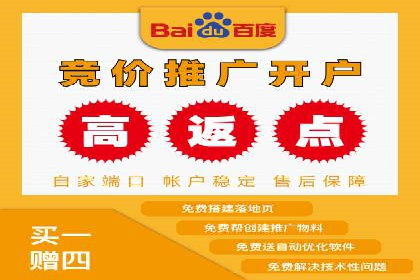 百度品牌专区推广：打造品牌形象的新途径